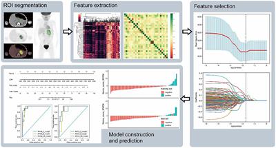 Prediction of MYCN Amplification, 1p and 11q Aberrations in Pediatric Neuroblastoma via Pre-therapy 18F-FDG PET/CT Radiomics